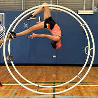 Gym Wheel